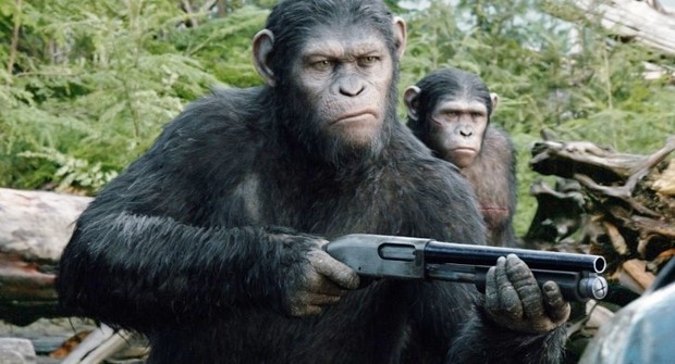 apes revolution